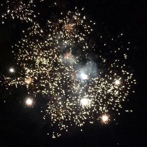 Meet your Posher, Lily